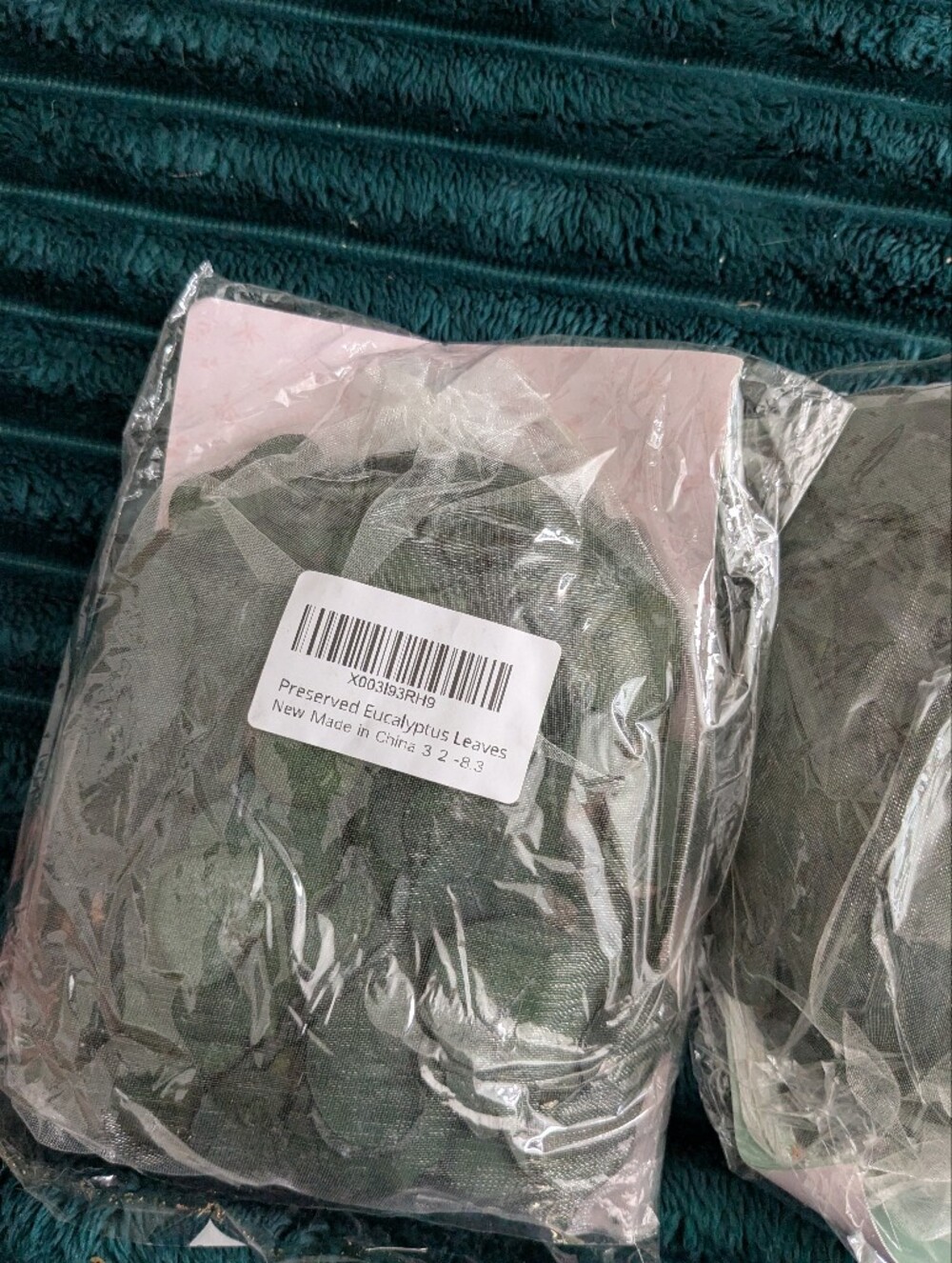 Preserved Eucalyptus Leaves - Deep Green